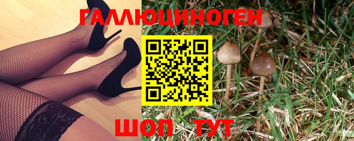 Псилоцибиновые грибы мухоморы  Вход с VPN  Горно-Алтайск 
