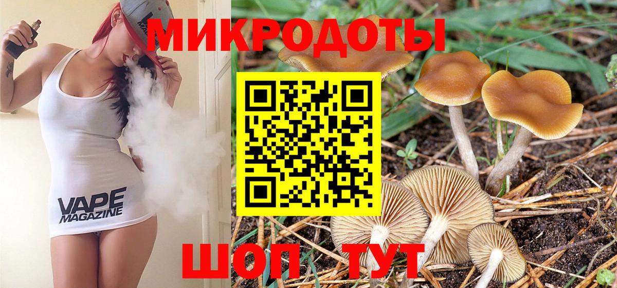 Псилоцибиновые грибы MAGIC MUSHROOMS Горно-Алтайск